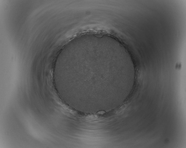 X0000113551489200910021518