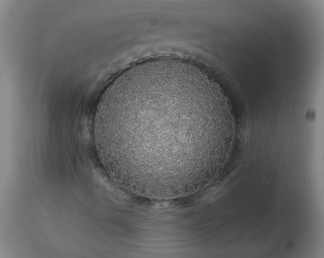 X0000113551490200910021518