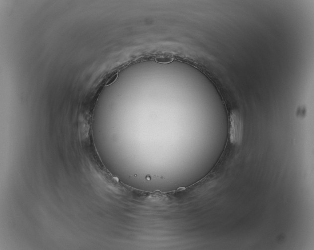 X0000113551491200910021518