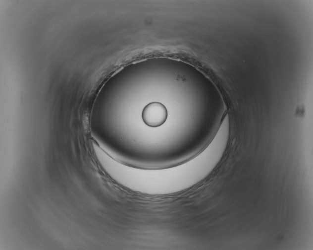 X0000113551492200910021518