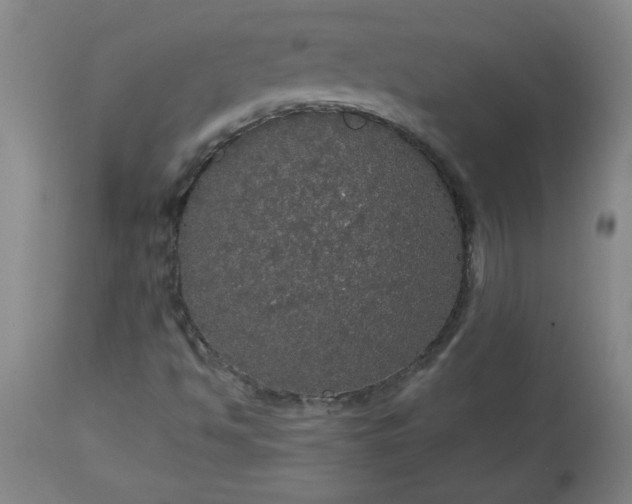 X0000113551494200910021518