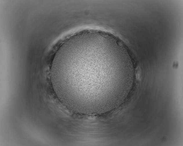 X0000113551495200910021518