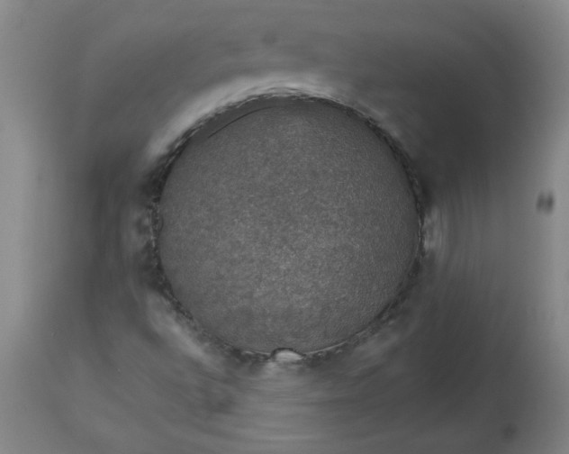 X0000113551496200910021518