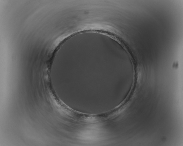 X0000113551497200910021518