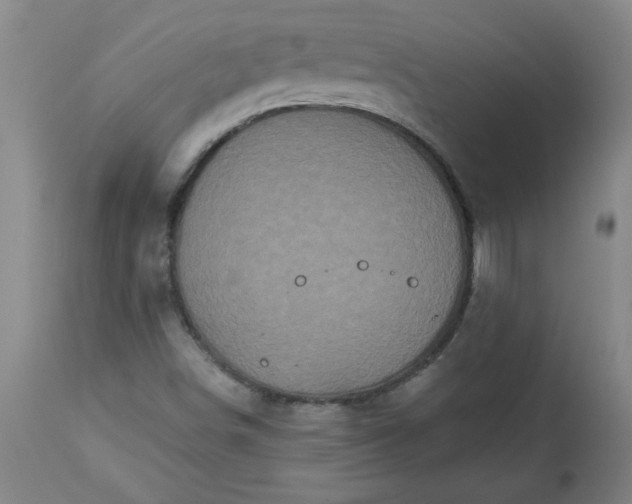 X0000113551498200910021518