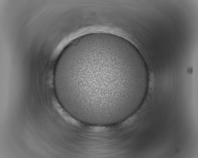 X0000113551499200910021518