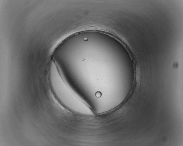 X0000113551500200910021518