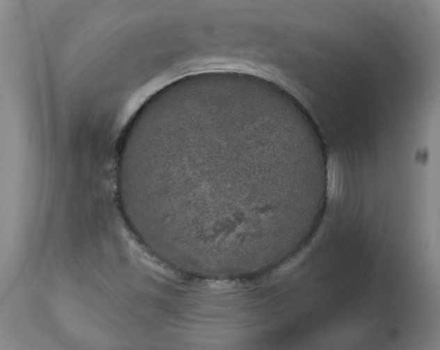 X0000113551501200910021518