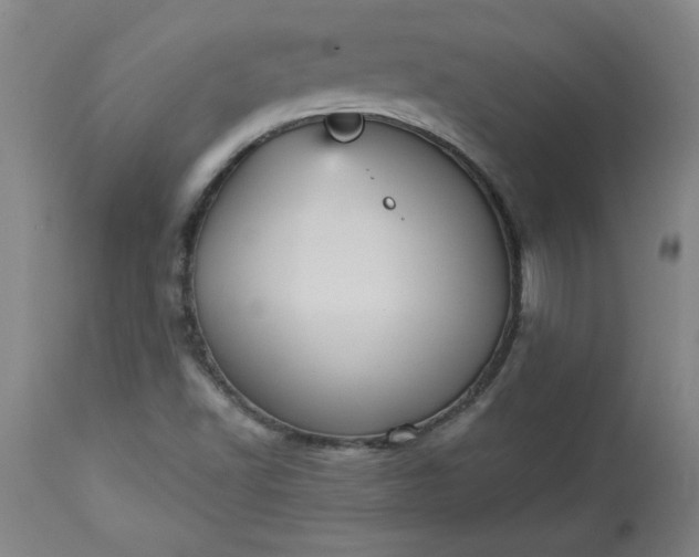 X0000113551502200910021518