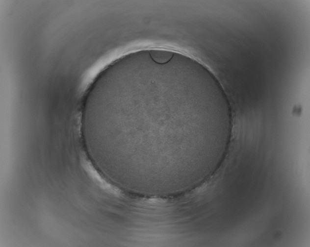 X0000113551503200910021518