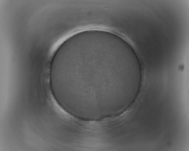 X0000113551504200910021518