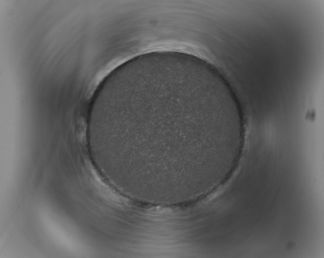 X0000113551505200910021518