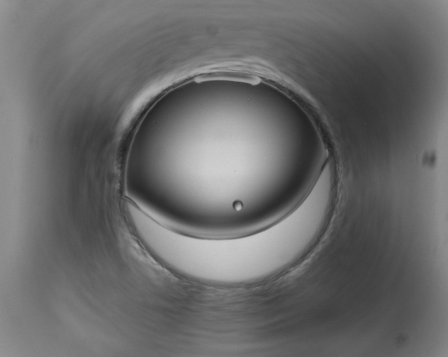 X0000113551506200910021518