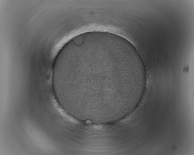 X0000113551507200910021518