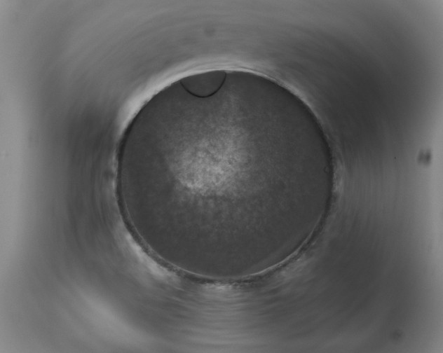 X0000113551508200910021518