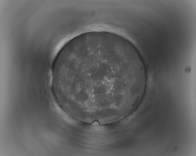 X0000113551509200910021518