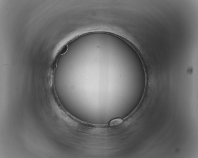 X0000113551510200910021518