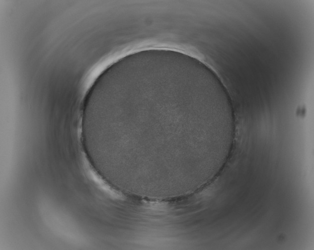 X0000113551511200910021518