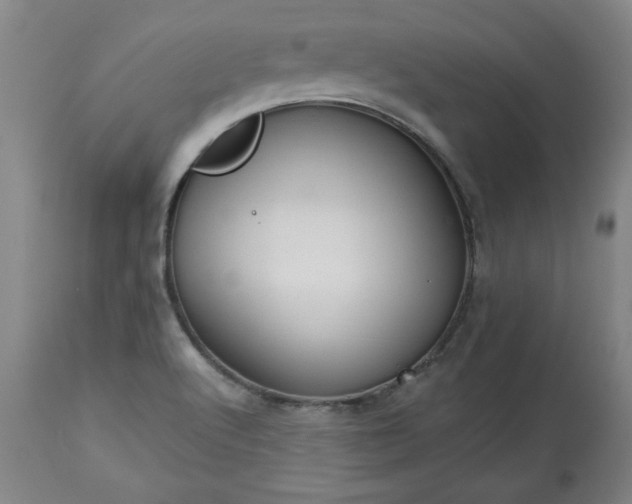 X0000113551512200910021518