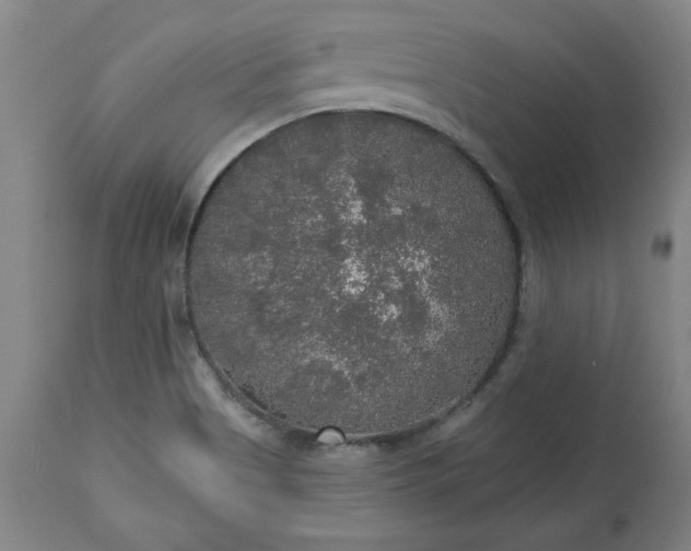 X0000113551513200910021518