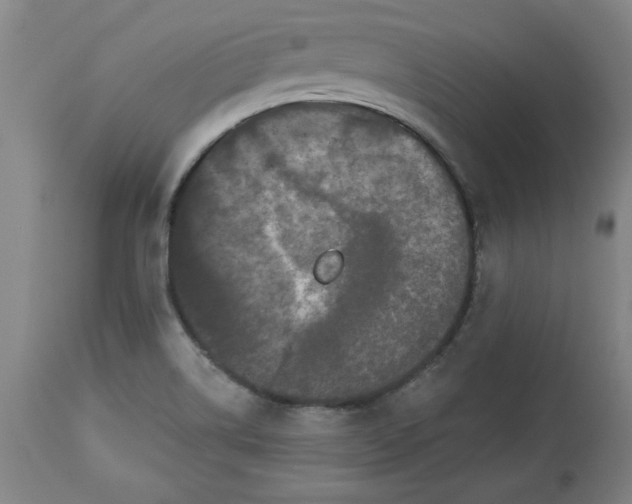 X0000113551514200910021518