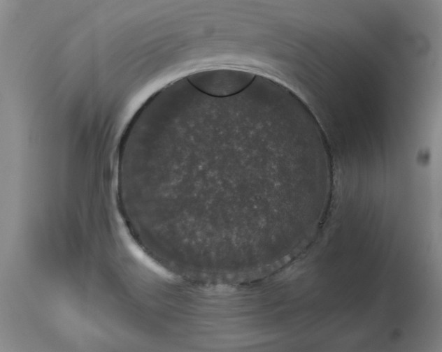 X0000113551515200910021518