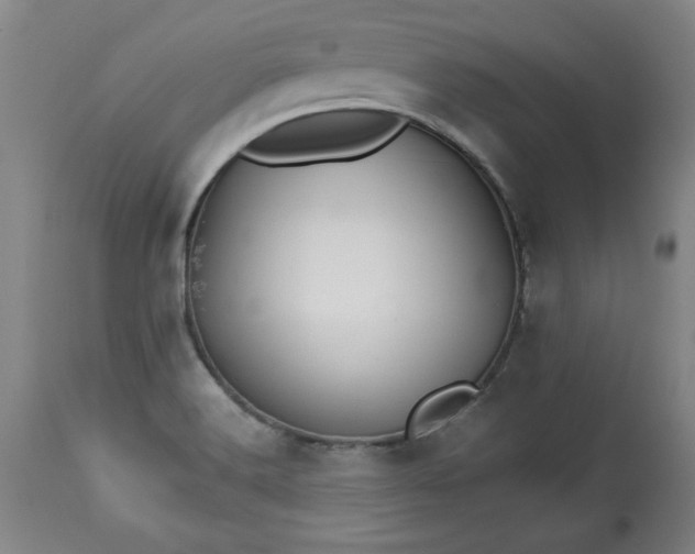 X0000113551516200910021518