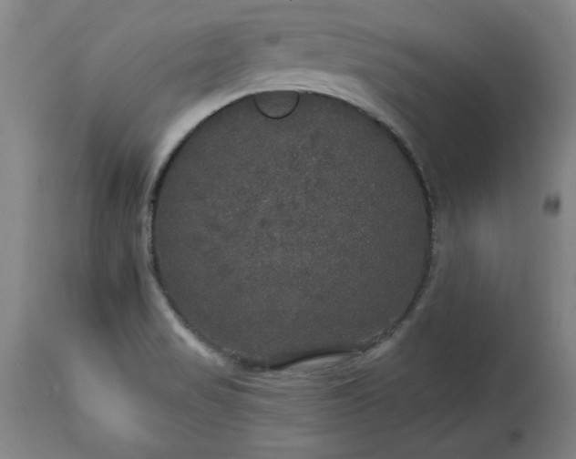 X0000113551517200910021518