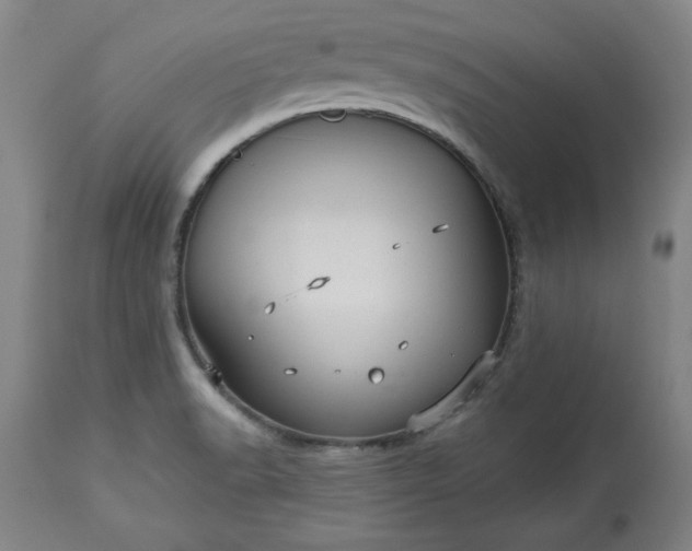 X0000113551518200910021518