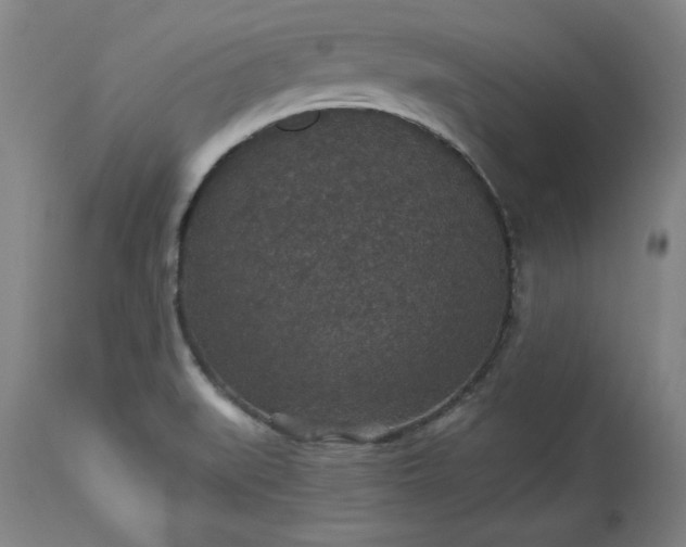 X0000113551519200910021518