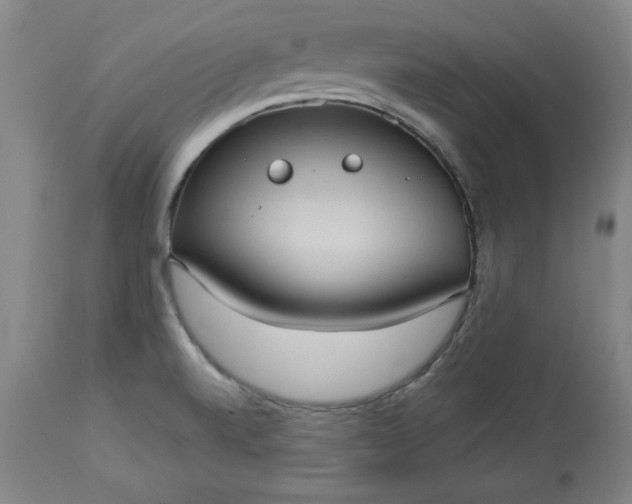 X0000113551520200910021518