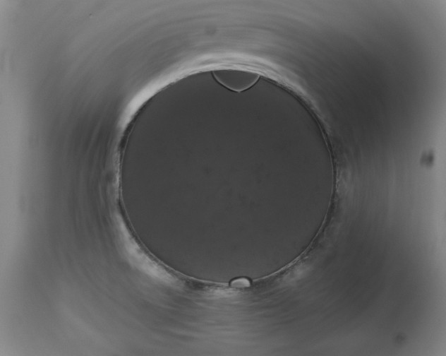 X0000113551522200910021518