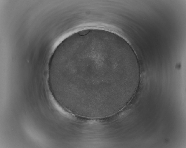 X0000113551523200910021518