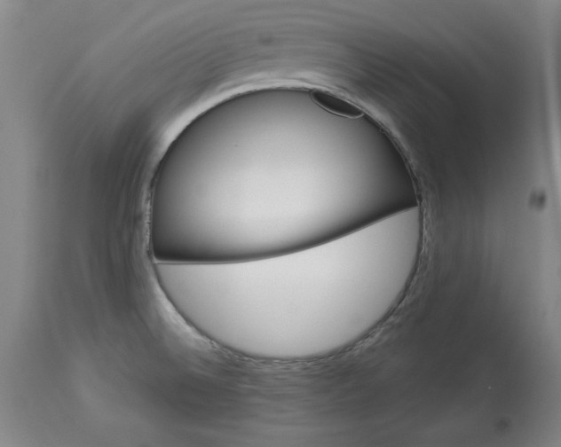 X0000113551524200910021518