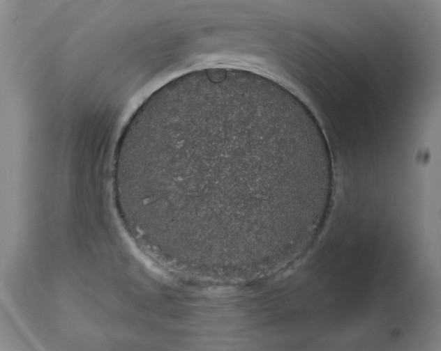 X0000113551525200910021518