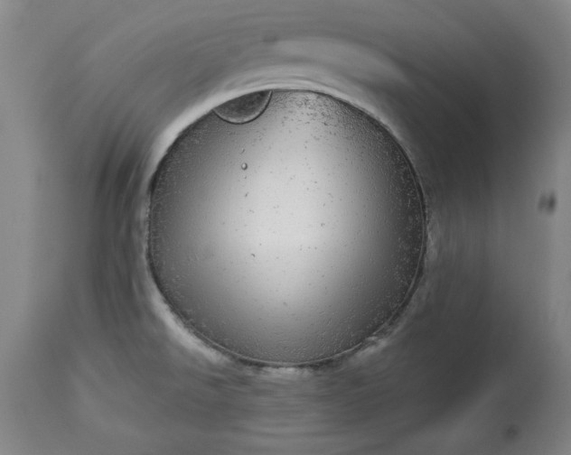 X0000113551526200910021518