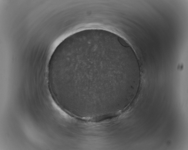 X0000113551527200910021518