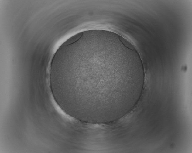 X0000113551528200910021518