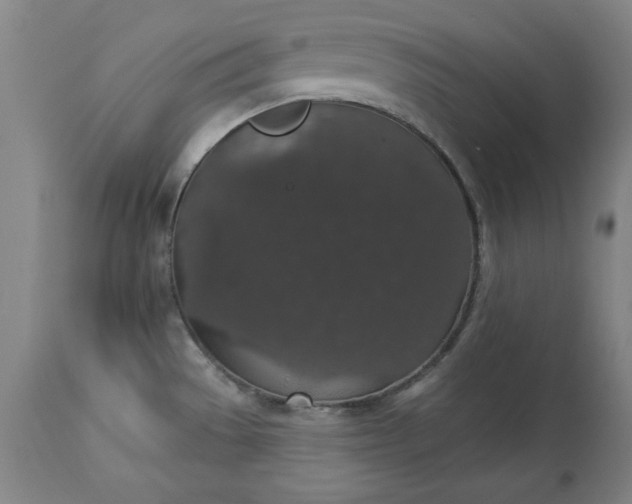 X0000113551529200910021518