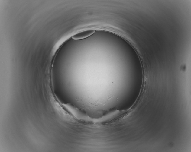 X0000113551530200910021518