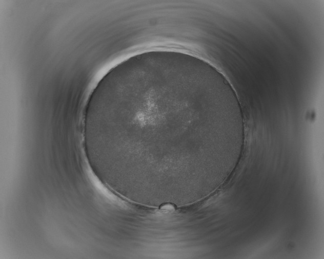 X0000113551531200910021518