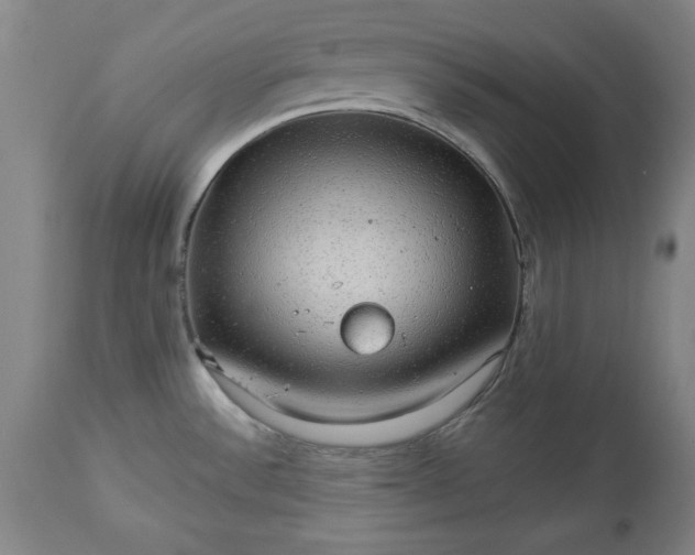 X0000113551532200910021518