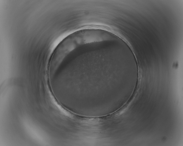 X0000113551533200910021518