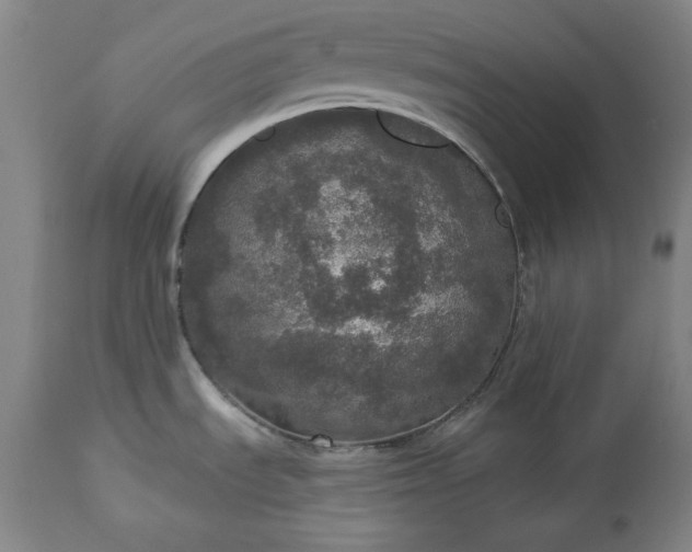 X0000113551535200910021518