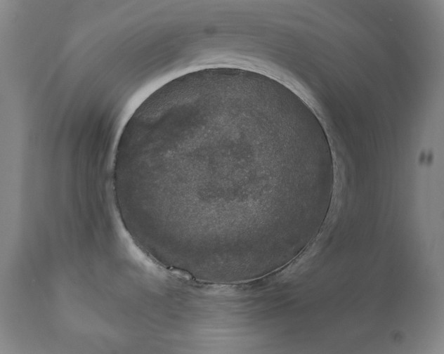 X0000113551536200910021518