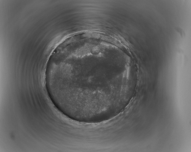 X0000113550002200910091313