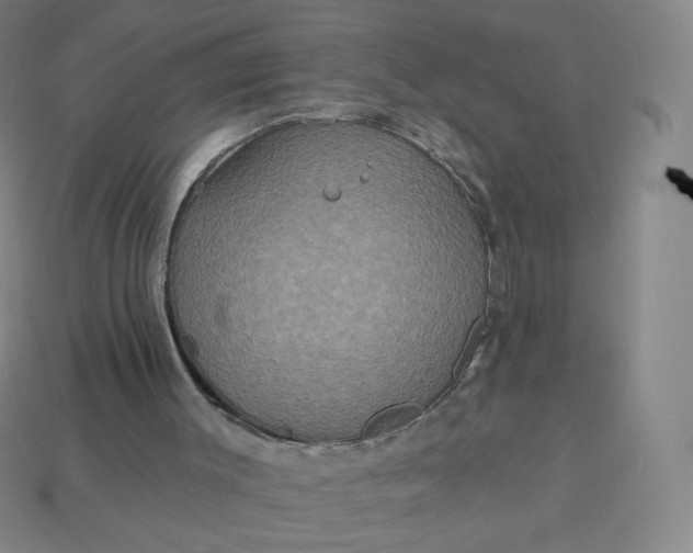 X0000113550003200910091313