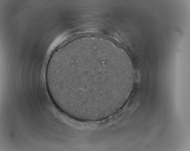 X0000113550004200910091313