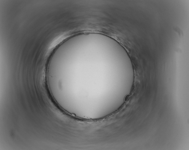 X0000113550005200910091313