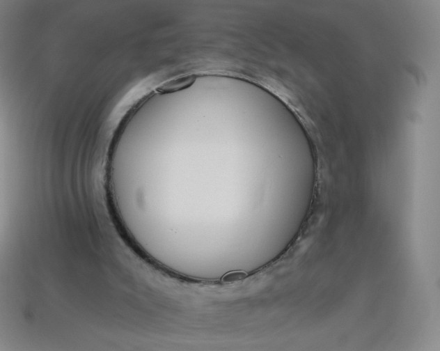 X0000113550007200910091313